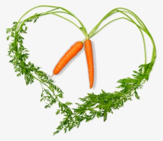 Grease And Flour Bundt Pan Well - Baby Carrot