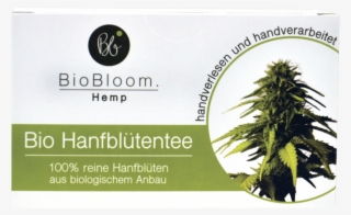 Hemp Flower Tea Bags X20 - Biobloom Organic Hemp Flower Tea 20 Teabags