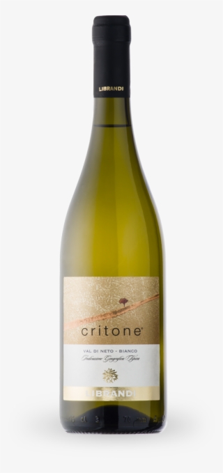 This Wine Is Named After Crito, Socrates' Favourite - Domaine Paul Buisse Touraine Sauvignon