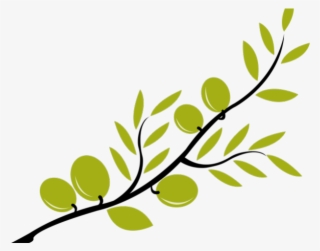 Branch Clipart Olive Branch - Olive Clipart