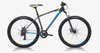 2019 - Polygon Cascade 4 2018