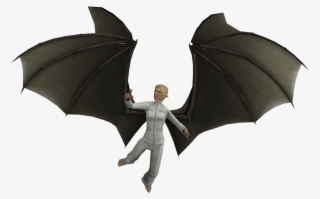 I Got Into It, Toohope You Like Them - Little Brown Myotis