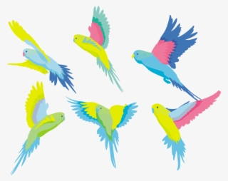 Budgerigar Parakeet Clip Art Colored Ⓒ - Budgerigar