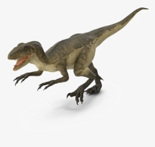 Theropod Transparent Background - Deinonychus Png Transparent