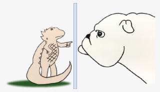 Bearded Dragon Bulldog - Cartoon