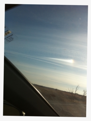 We Are A Small, Private Breeder Of Bearded Dragons