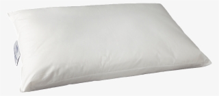 Original - Throw Pillow