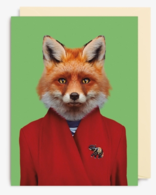 Red Fox