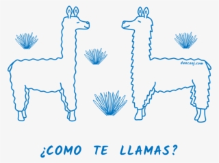 ¿como Te Llamas - Mane