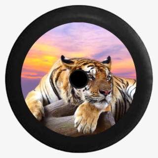 Jeep Wrangler Jl Backup Camera Lion Jungle Cat Sunset - Live Wallpaper Of Animals