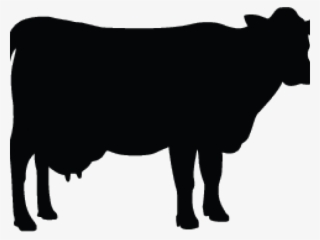 Cow Clipart