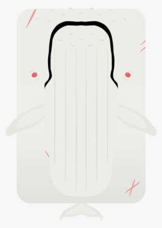 Skinmigaloo, The Albino Humpback Whale - Illustration