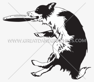 825 X 728 6 - Border Collie Frisbee Clipart