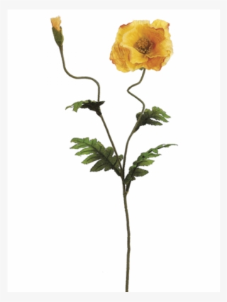 28" Poppy Spray X2 With 1 Flower And 1 Bud Yellow - Garden Roses