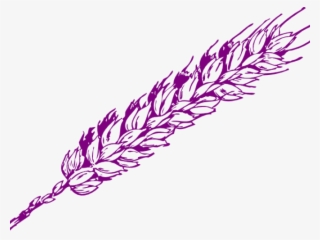 Drawn Wheat Vector - Wheat Clip Art