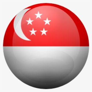 Computer Data Protection & Filing - Round Singapore Flag Png