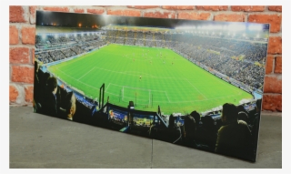 Soccer-specific Stadium