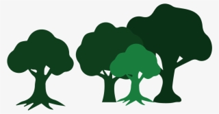 Wildcat Creek Tree Services Has The Skills To Assist - Illustration