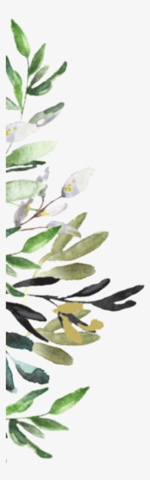 Florals Left - Illustration