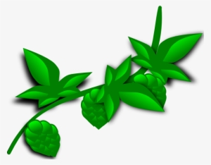 Clipart Transparent Stock Hops Plant Clip Art At Clker - Plant Clip Art