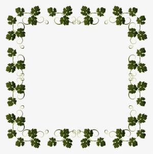 Vine Border Png
