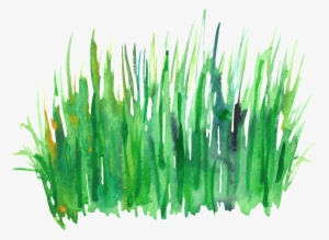 Green Grass Cluster Transparent Decorative - Green Watercolor Grass