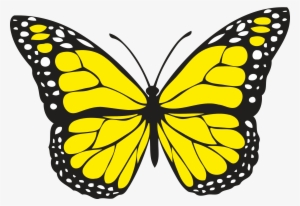 Spiritual Meaning Of Yellow Butterflies - Yellow Butterfly