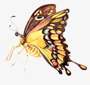 Hand Painted Beautiful Vivid Yellow Butterfly Png Transparent - Portable Network Graphics