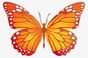 Butterflies Yellow And Orange