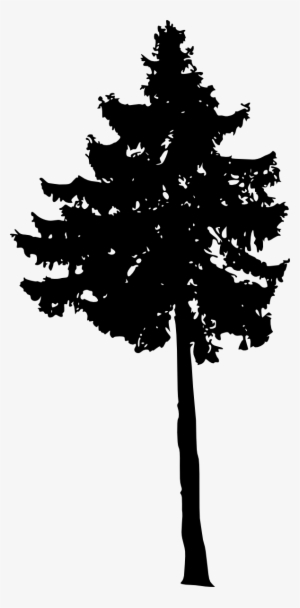 Free Download - Portable Network Graphics