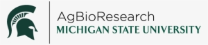 Agbioresearch Logo With Spartan Helmet - Michigan State Spartans Button
