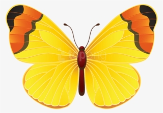 Yellow Butterfly Png Clip Art Transparent Image - Borboleta Show Da Luna Png