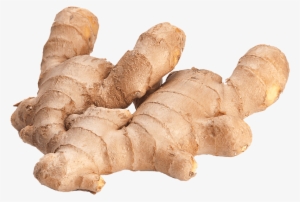 Ginger Png