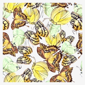 Hand Painted Yellow Butterfly Background Png Transparent - Illustration