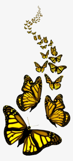 Bleed Area May Not Be Visible - Yellow Butterfly No Background