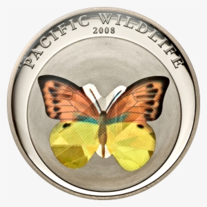 Orange/yellow Butterfly - Yellow