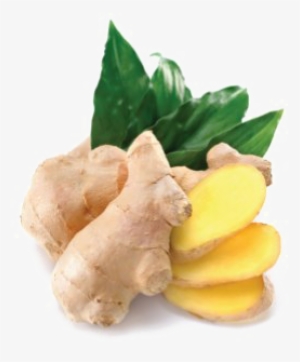 Ginger Png Photo - Amoretti Ginger Extract Oil Soluble - 8 Lbs