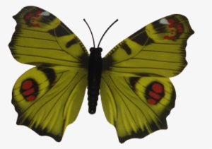 1yellow Butterfly - Southern Dogface