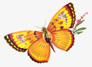 Butterfly Freebie By Chocolate-rabbit On Deviantart - Mariposa Apple Label - San Francisco, Ca