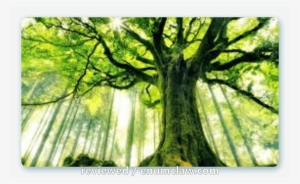 God's Word, The Holy Bible Isn't Looking So Foolish