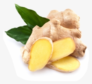 Plant Seed 50 Pcs/bag Ginger Seeds Balcony Organic