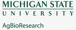 Green Logo - Michigan State Logo No Background