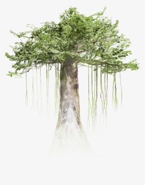 Now Screening At - Webby Winners Tree Vr Interactive