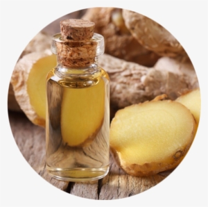 Ginger Oil - Ginger Essential Oil