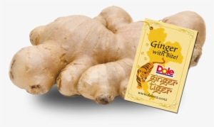 Ginger Tiger - Dole