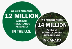 Sustainable Forest Management - Tree