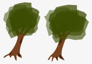 Tree Spruce Forest Eastern White Pine Shrub - Tree