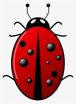 Ladybug Clipart Png