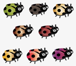 Ladybird Beetle Color Drawing Red - 8 Bugs Clipart