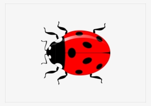Red Ladybug Png Hd - Clip Art